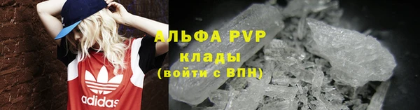 СК Касимов
