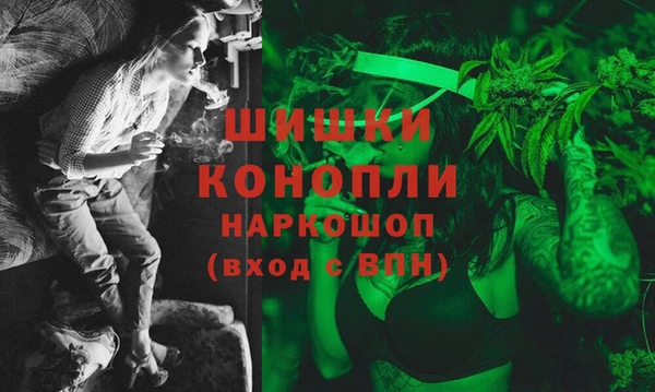 СК Касимов