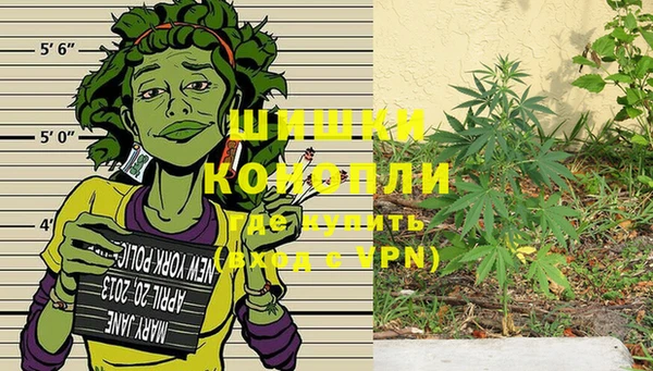 СК Касимов