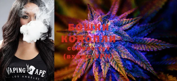 СК Касимов