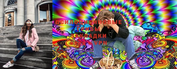 СК Касимов